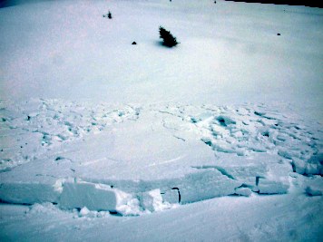 Schneebrett unterhalb Am-Archl